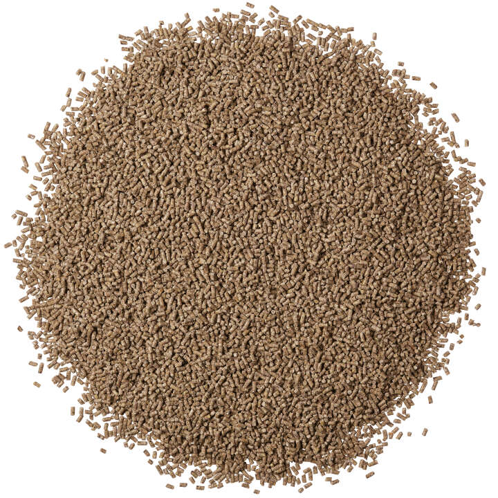 Landleben Freiland Kükenstarter